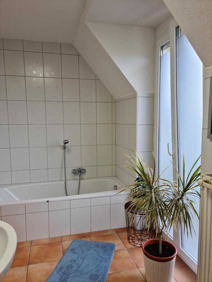 Lichtdurchflutetes Zimmer - Mainwiesen Waldbuttelbrunn Extérieur photo