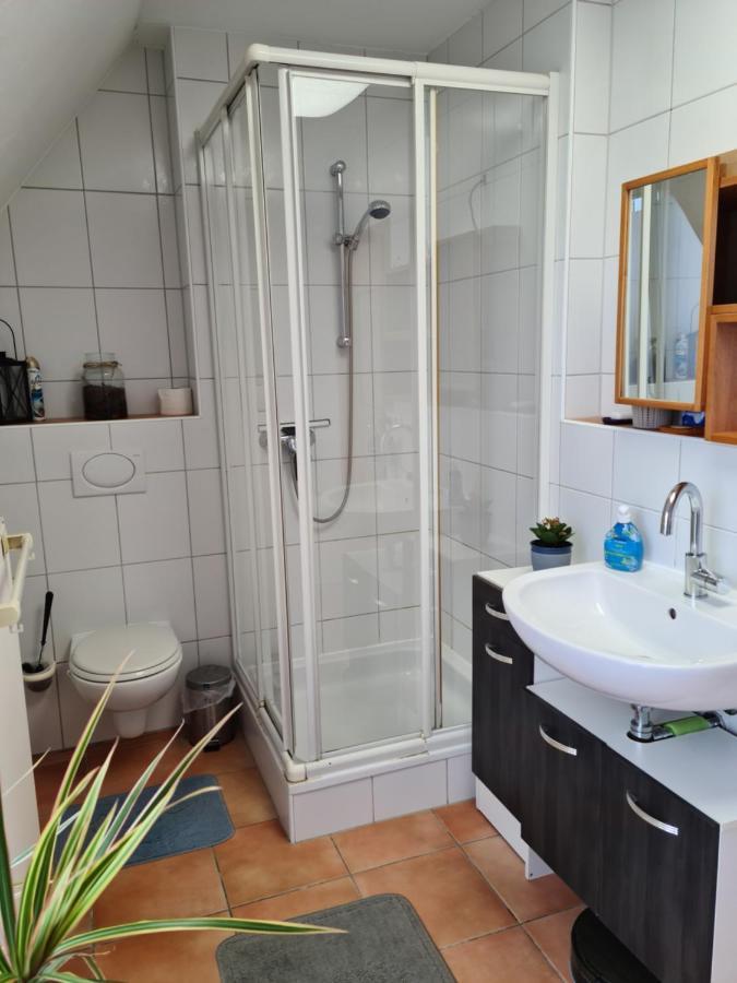 Lichtdurchflutetes Zimmer - Mainwiesen Waldbuttelbrunn Extérieur photo